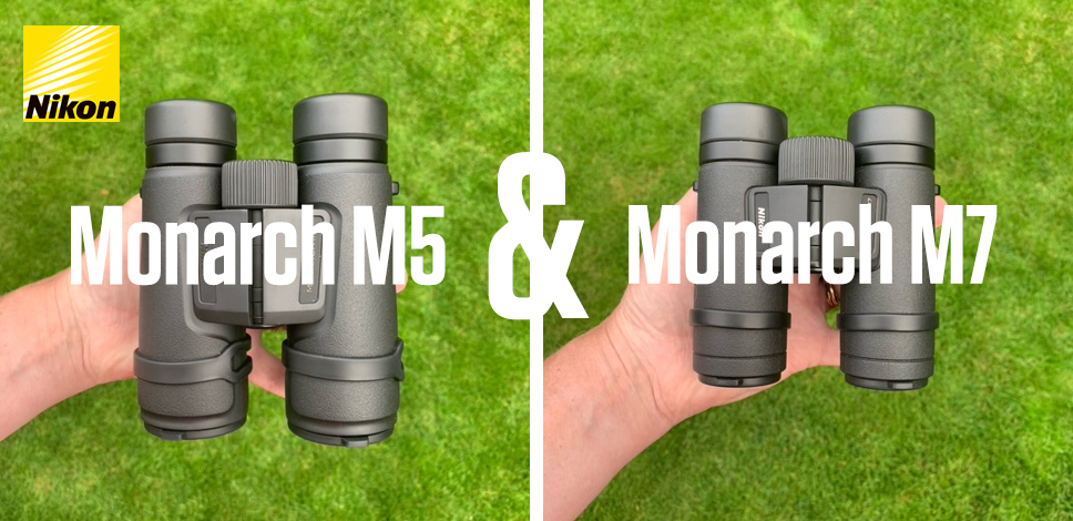 Nikon Monarch M5 & M7 Binoculars | Hands On Review | Clifton Cameras